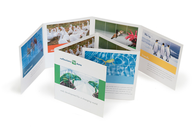 http://www.redroostergroup.com/2011/10/03/brochure-reflexions-data/